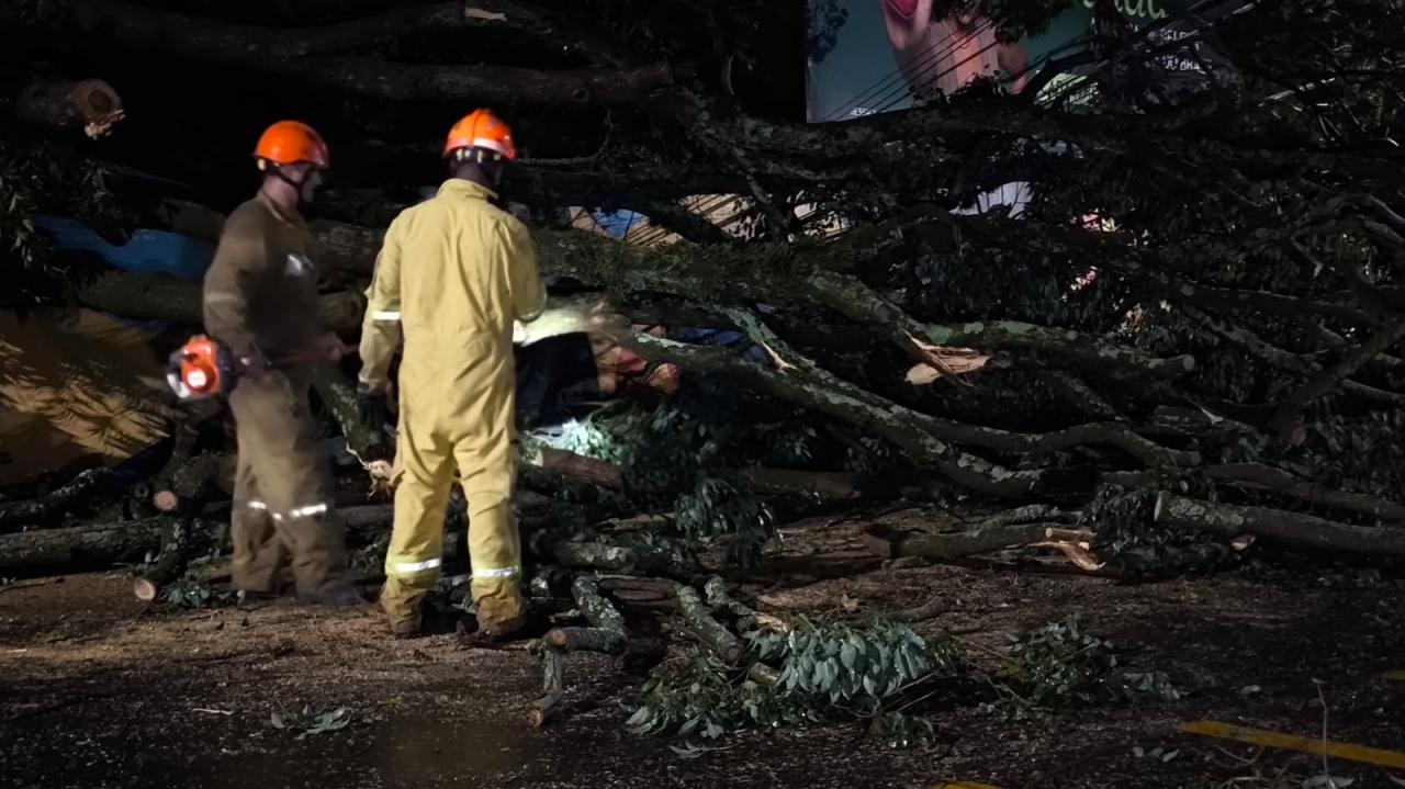 Foto 30 de 67 — TEMPORAL EM FOTOS: veja imagens de destruição em Araraquara